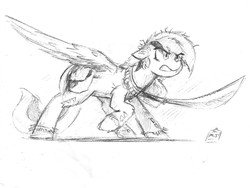 Size: 2191x1652 | Tagged: safe, artist:the-minuscule-task, oc, oc only, oc:acela, pegasus, pony, angry, pegasus oc, sketch, spread wings, wings