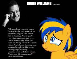 Size: 1024x781 | Tagged: safe, artist:mlpfan3991, oc, oc:flare spark, pegasus, pony, g4, crying, photo, quote, robin williams, tears of pain, text