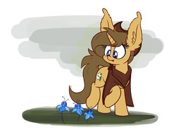 Size: 1280x960 | Tagged: safe, artist:heir-of-rick, oc, oc only, oc:buckwheat, pony, unicorn, big ears, clothes, commission, cowboy hat, cute, female, freckles, hat, mare, poison joke, poncho, raised hoof, solo, stetson