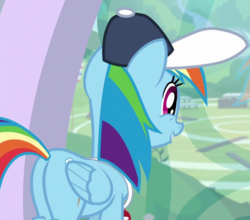 Size: 699x615 | Tagged: safe, screencap, rainbow dash, pegasus, pony, 2 4 6 greaaat, g4, butt, cap, coach rainbow dash, cropped, female, hat, mare, plot, smiling, solo