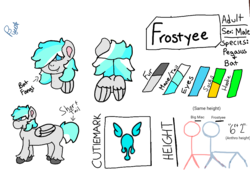 Size: 1058x720 | Tagged: safe, artist:snowbuttnsfw, oc, oc only, oc:frostyee, pegasus, pony, cutie mark, male, reference sheet, solo, stallion, watermark