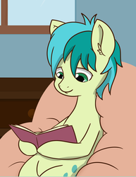 Size: 1404x1820 | Tagged: safe, artist:chedx, sandbar, earth pony, pony, g4, book, cropped, cutie mark, male, reading, smiling