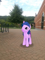 Size: 3024x4032 | Tagged: safe, gameloft, photographer:undeadponysoldier, twilight sparkle, pony, unicorn, g4, appalachian state university, augmented reality, building, college, female, irl, mare, photo, ponies in real life, solo, tree, unicorn twilight