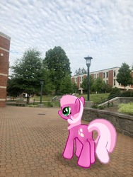 Size: 3024x4032 | Tagged: safe, gameloft, photographer:undeadponysoldier, cheerilee, earth pony, pony, g4, appalachian state university, augmented reality, building, college, female, irl, lamppost, mare, photo, ponies in real life, solo, tree