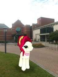Size: 3024x4032 | Tagged: safe, gameloft, photographer:undeadponysoldier, cherry jubilee, pony, g4, appalachian state university, augmented reality, building, college, irl, lamppost, photo, ponies in real life, solo