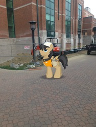 Size: 3024x4032 | Tagged: source needed, safe, gameloft, photographer:undeadponysoldier, jack hammer, pegasus, pony, g4, appalachian state university, augmented reality, bulldozer, college, construction site, irl, lamppost, male, photo, ponies in real life, stallion