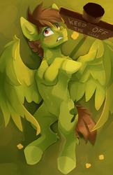 Size: 1500x2320 | Tagged: safe, artist:tangomangoes, oc, oc only, oc:olive hue, pegasus, pony, grass, sign, solo
