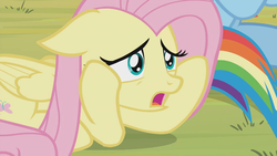 Size: 1366x768 | Tagged: safe, screencap, fluttershy, rainbow dash, pony, 2 4 6 greaaat, g4, grass, nervous, whimpering