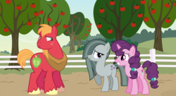 Size: 2016x1097 | Tagged: artist needed, safe, big macintosh, marble pie, sugar belle, earth pony, pony, unicorn, g4, apple, apple tree, awkward, best friends, bonding, female, food, friendship, friendshipping, husband and wife, looking at each other, male, married couple, ship:sugarmac, shipping, smiling, story included, straight, sweet apple acres, tree, uh oh, worried