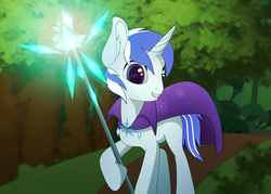 Size: 2014x1440 | Tagged: safe, artist:etheria galaxia, oc, oc only, oc:scratch wub, pony, cape, clothes, ice, male, outdoors, smiling, staff, stallion, wizard