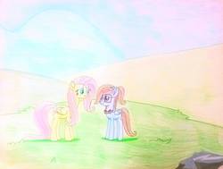 Size: 1107x835 | Tagged: safe, artist:dialysis2day, fluttershy, oc, oc:sally, pegasus, pony, g4, female, teenager, traditional art