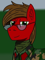 Size: 768x1024 | Tagged: safe, artist:riley vinchers, oc, earth pony, pony, bust, camouflage, clothes, glasses, military uniform, portrait, scarf