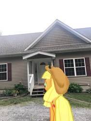 Size: 3024x4032 | Tagged: safe, gameloft, photographer:undeadponysoldier, applejack, earth pony, pony, g4, applejack's hat, augmented reality, bush, cowboy hat, door, female, garden, hat, house, irl, mare, photo, ponies in real life, porch, solo, window
