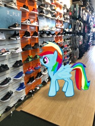 Size: 3024x4032 | Tagged: safe, gameloft, photographer:undeadponysoldier, rainbow dash, pegasus, pony, g4, augmented reality, clothes, female, hibbet sport, irl, mare, nike, photo, ponies in real life, shoes, sneakers, solo