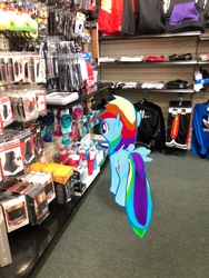 Size: 3024x4032 | Tagged: safe, gameloft, photographer:undeadponysoldier, rainbow dash, pegasus, pony, g4, augmented reality, clothes, female, hibbet sport, irl, mare, photo, ponies in real life, solo