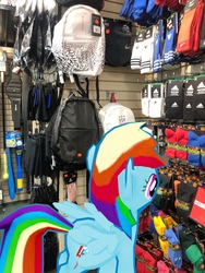 Size: 3024x4032 | Tagged: safe, gameloft, photographer:undeadponysoldier, rainbow dash, pegasus, pony, g4, augmented reality, backpack, clothes, female, hibbet sport, irl, mare, photo, ponies in real life, socks, solo