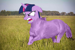 Size: 960x640 | Tagged: safe, edit, edited screencap, screencap, twilight sparkle, horse, pony, a trivial pursuit, g4, abomination, angry, engrish in the description, faic, hoers, op is on drugs, photo, shitposting, wat, what has science done