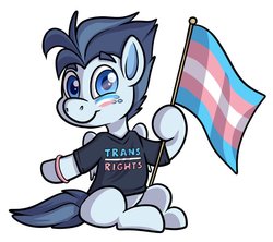 Size: 789x701 | Tagged: safe, artist:transformartive, oc, oc:silver span, pegasus, pony, adventure in the comments, babscon, flag, pride, pride month, trans rights, transgender pride flag