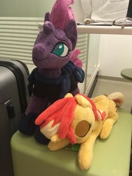 Size: 3024x4032 | Tagged: safe, photographer:sintakhra, sunset shimmer, tempest shadow, pony, galacon, g4, cute, irl, photo, plushie, shimmerbetes, sleeping, tempestbetes