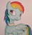 Size: 2636x2954 | Tagged: safe, artist:xalaris, rainbow dash, pegasus, pony, g4, collar, female, high res, solo, traditional art