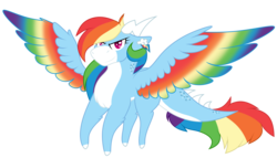 Size: 2800x1600 | Tagged: safe, artist:1joshlerr, rainbow dash, dragon, feathered dragon, g4, chest fluff, colored wings, cutie mark earrings, dragoness, dragonified, ear piercing, earring, female, jewelry, looking at you, multicolored wings, piercing, rainbow dragon, rainbow wings, simple background, slit pupils, smiling, smirk, solo, species swap, spread wings, transparent background, vector, wings