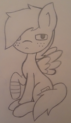 Size: 1298x2243 | Tagged: safe, artist:lightning135, oc, oc only, oc:silver ball, pegasus, pony, bandage, freckles, frown, looking at you, male, monochrome, pencil drawing, raised hoof, sitting, sketch, solo, spread wings, traditional art, wings