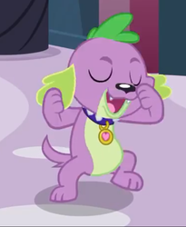 Size: 561x683 | Tagged: safe, screencap, spike, spike the regular dog, dog, equestria girls, g4, my little pony equestria girls, collar, cropped, dog collar, male, paws, solo, spike the dog, spike's dog collar, spiked collar, tail