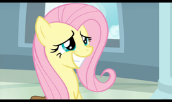 Size: 1428x846 | Tagged: safe, screencap, fluttershy, pony, daring doubt, g4, cute, shyabetes, smiling