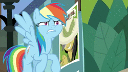 Size: 1920x1080 | Tagged: safe, screencap, rainbow dash, pony, daring doubt, g4, animated, cute, dashabetes, faic, female, rainbow dash is best facemaker, reaction image, say what, shocked, sound, webm