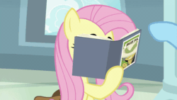 Size: 800x450 | Tagged: safe, screencap, fluttershy, rainbow dash, pegasus, pony, daring doubt, g4, animated, apologetic, book, cute, daring do book, female, gif, looking up, push, saddle bag, sheepish grin, shyabetes, smiling, whoops, wing hands, wings
