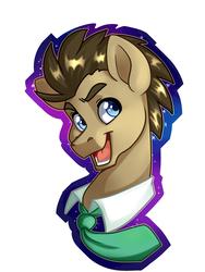 Size: 3000x4000 | Tagged: safe, artist:annakitsun3, doctor whooves, time turner, earth pony, pony, g4, bust, male, necktie, open mouth, portrait, simple background, smiling, solo, stallion, stars