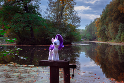 Size: 5749x3833 | Tagged: safe, artist:7yashka7, rarity, pony, g4, autumn, irl, nature, photo, plushie, ponies in real life, solo