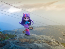 Size: 4608x3456 | Tagged: safe, artist:7yashka7, twilight sparkle, equestria girls, g4, doll, equestria girls in real life, equestria girls minis, eqventures of the minis, irl, photo, russia, solo, toy