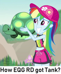 Size: 864x1044 | Tagged: safe, edit, edited screencap, screencap, rainbow dash, tank, aww... baby turtles, equestria girls, g4, my little pony equestria girls: better together, belly button, clothes, cropped, duo, question, rainbow dash's beach shorts swimsuit, swimsuit