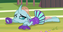 Size: 740x386 | Tagged: safe, screencap, ocellus, changedling, changeling, 2 4 6 greaaat, g4, female, solo