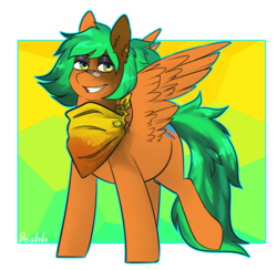 Size: 2776x2706 | Tagged: safe, artist:jeshh, oc, oc only, pegasus, pony, bandaid, bandaid on nose, female, high res, mare, solo