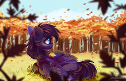 Size: 2000x1287 | Tagged: safe, artist:teaflower300, oc, oc only, pegasus, pony, autumn, cutie mark, female, floppy ears, forest, leaves, mare, meadow, prone, smiling, solo