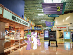 Size: 641x483 | Tagged: safe, artist:hoodie-stalker, edit, editor:undeadponysoldier, spike, sweetie belle, dragon, human, pony, unicorn, semi-anthro, g4, arm hooves, concord mills mall, date, dragons in real life, duo, female, filly, followup, helzburg diamonds, hoof on belly, hoof on hip, irl, irl human, jewelry store, male, mall, mare, photo, pino gelato, pointing, ponies in real life, ship:spikebelle, shipping, sign, straight, teenage spike, teenage sweetie belle, teenaged dragon, teenager