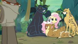 Size: 1920x1080 | Tagged: safe, screencap, fluttershy, big cat, cat, cheetah, lynx, panther, pony, daring doubt, g4, ahuizotl's cats, animal, cute, female, hat, kitten, mare, on back, shyabetes