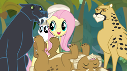 Size: 1920x1080 | Tagged: safe, screencap, fluttershy, big cat, cat, cougar (animal), leopard, daring doubt, g4, cute, shyabetes