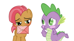 Size: 750x417 | Tagged: safe, artist:purezparity, editor:undeadponysoldier, babs seed, spike, dragon, earth pony, pony, g4, adorababs, blushing, cute, daaaaaaaaaaaw, envelope, female, filly, foal, hearts and hooves day, letter, looking at each other, love letter, male, ship:babspike, shipping, simple background, straight, white background