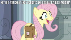 Size: 641x359 | Tagged: safe, edit, edited screencap, editor:undeadponysoldier, screencap, fluttershy, pony, daring doubt, g4, asdfmovie, asdfmovie6, cute, female, happy, open mouth, reference, saddle bag, shyabetes, smiling, solo, talking to viewer