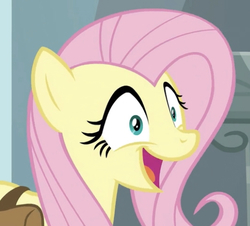 Size: 546x494 | Tagged: safe, screencap, fluttershy, pegasus, pony, daring doubt, g4, cropped, cute, female, happy, mare, open mouth, saddle bag, shyabetes, solo