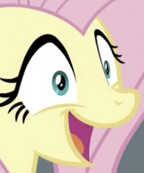 Size: 340x409 | Tagged: safe, screencap, fluttershy, pegasus, pony, daring doubt, g4, close-up, cropped, cute, extreme close-up, female, happy, mare, open mouth, saddle bag, shyabetes, solo