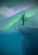 Size: 764x1080 | Tagged: safe, artist:lexi4, aurora borealis, cliff, dead tree, no pony, scenery, stars, tree, water, world edge