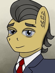 Size: 768x1024 | Tagged: safe, artist:riley vinchers, filthy rich, earth pony, pony, g4, bust, clothes, male, portrait, stallion, suit