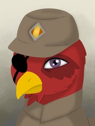 Size: 768x1024 | Tagged: safe, artist:mrscroup, artist:riley vinchers, oc, griffon, equestria at war mod, bust, cap, clothes, coloring, hat, military, military uniform, one eyed, portrait, solo