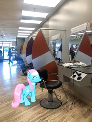 Size: 3024x4032 | Tagged: safe, gameloft, photographer:undeadponysoldier, lotus blossom, earth pony, human, pony, g4, augmented reality, barbershop, chair, female, greatclips, irl, irl human, mare, photo, ponies in real life, solo
