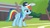 Size: 1920x1080 | Tagged: safe, screencap, rainbow dash, pony, 2 4 6 greaaat, g4, my little pony: friendship is magic, cap, coach rainbow dash, female, hat, mare, solo