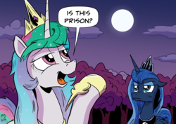 Size: 2631x1860 | Tagged: safe, artist:pony-berserker, princess celestia, princess luna, alicorn, pony, g4, female, full moon, i can't believe it's not idw, is this a pigeon, luna is not amused, mare, meme, moon, royal sisters, unamused